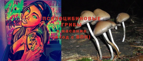 бошки Строитель